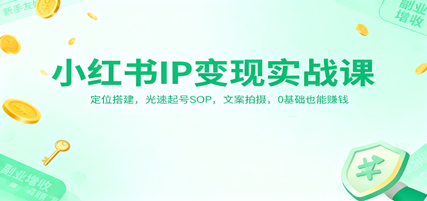 小红书IP变现实战课：定位搭建，光速起号SOP，文案拍摄，0基础也能赚钱