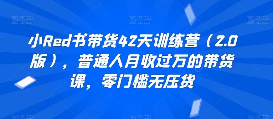 小Red书带货42天训练营(2.0版)，普通人月收过万的带货课，零门槛无压货