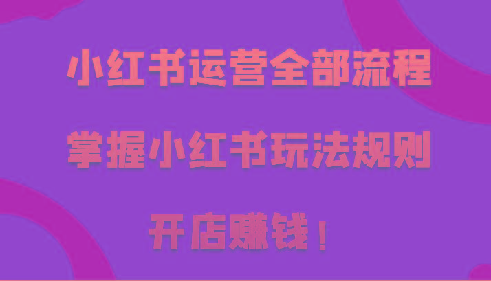 小红书运营全部流程，掌握小红书玩法规则，开店赚钱！
